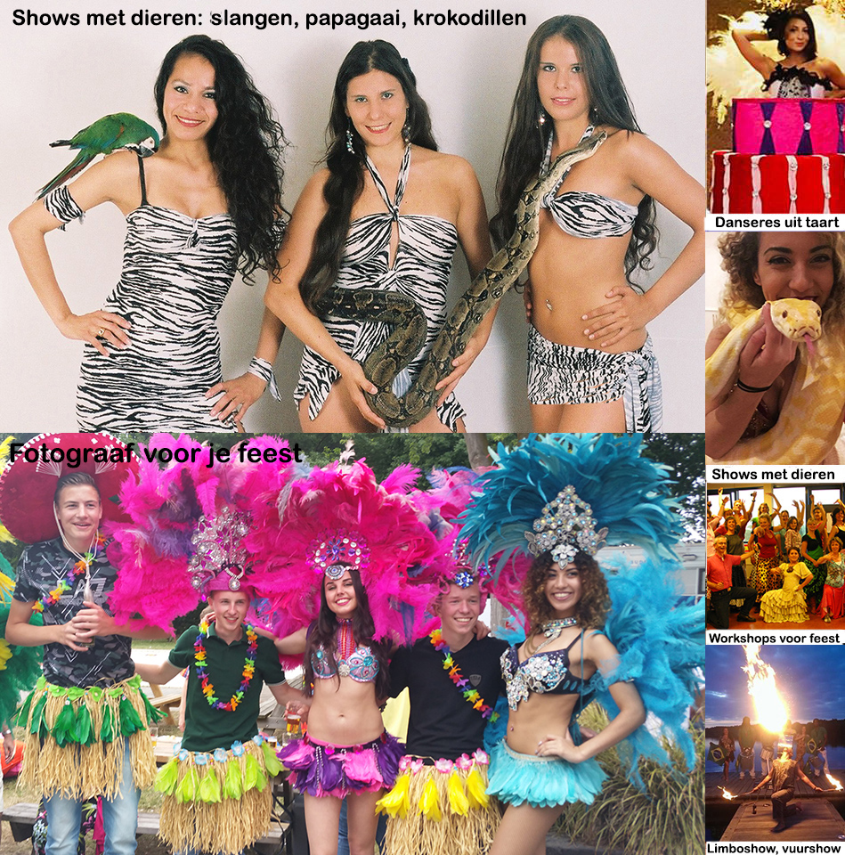 Caribisch Live Muziek Bruiloft